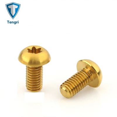 Vite Torx del rotore del disco per mountain bike M5 x 10 mm in titanio Ti oro